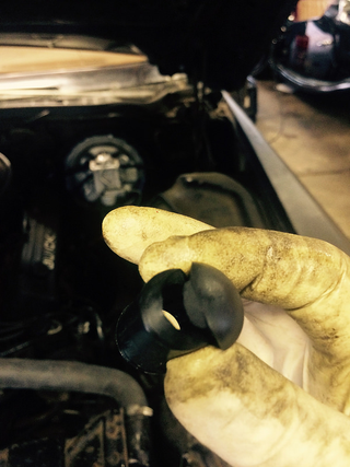 Illustration for article titled My car is having a rough week with coolant